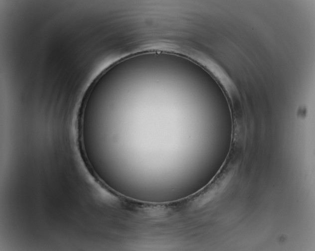 X0000103270999200809051502