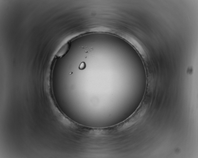 X0000103271000200809051502