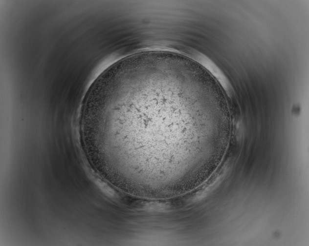X0000103271002200809051502