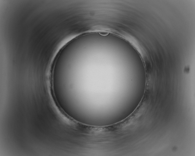 X0000103271003200809051502