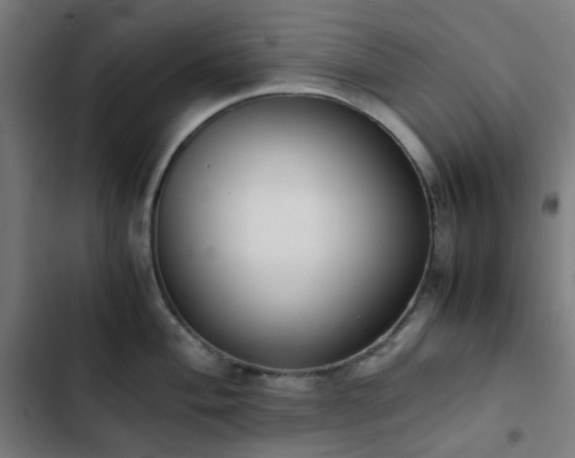 X0000103271004200809051502