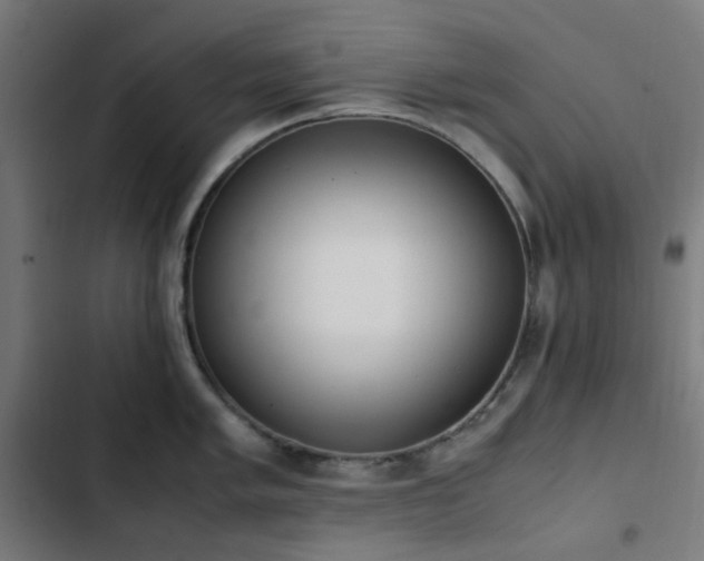 X0000103271005200809051502