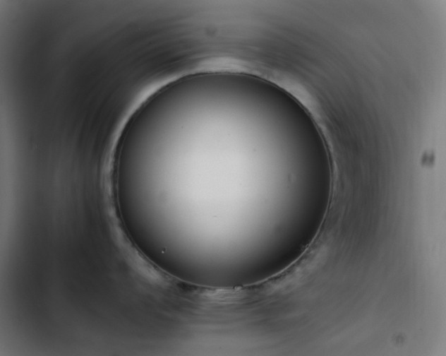 X0000103271008200809051502