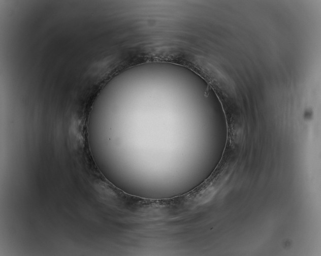 X0000103271010200809051502