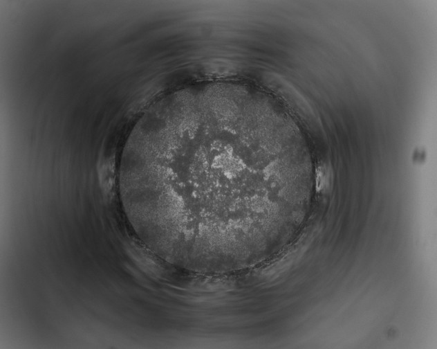 X0000103271011200809051502