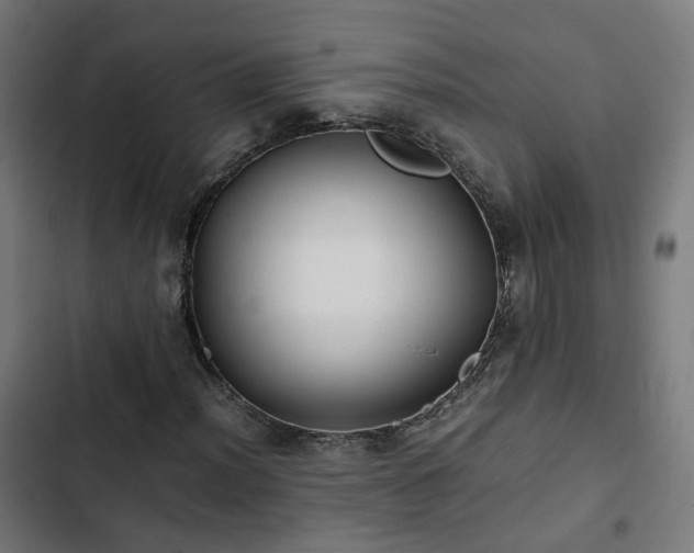 X0000103271012200809051502