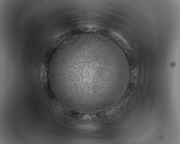 X0000103271013200809051502