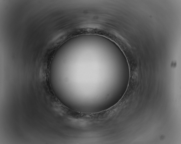 X0000103271014200809051502