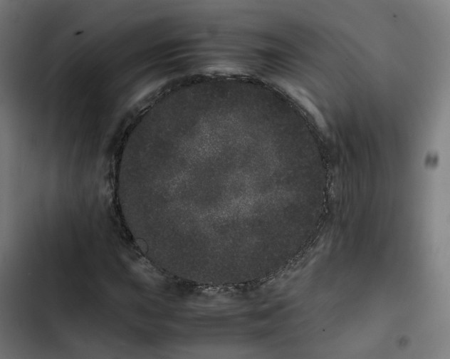 X0000103271015200809051502