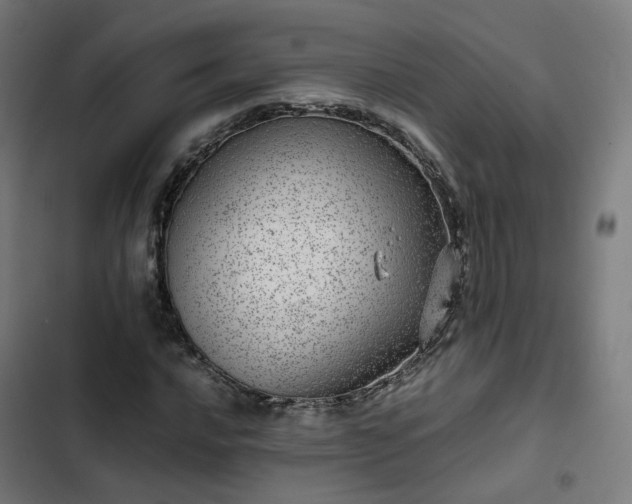 X0000103271016200809051502