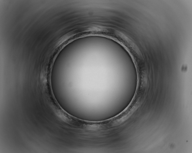 X0000103271017200809051502