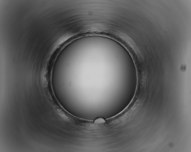 X0000103271018200809051502