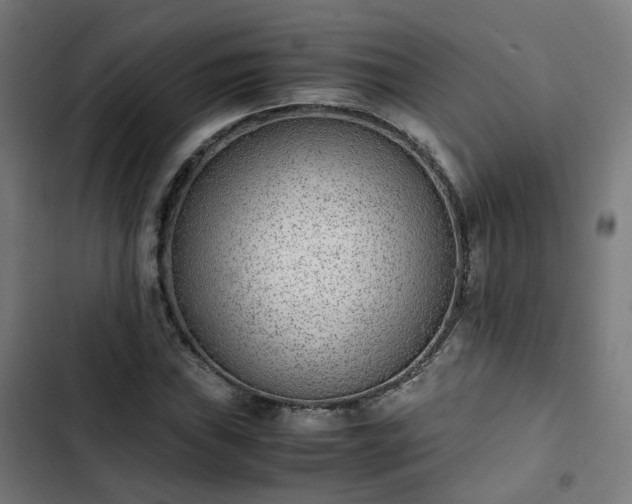 X0000103271019200809051502