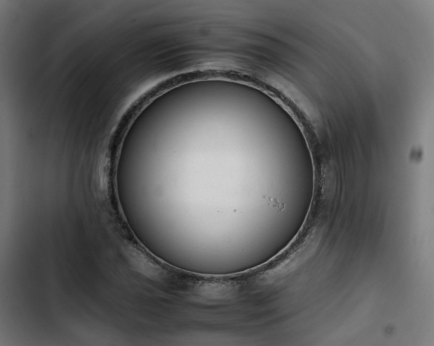 X0000103271021200809051502