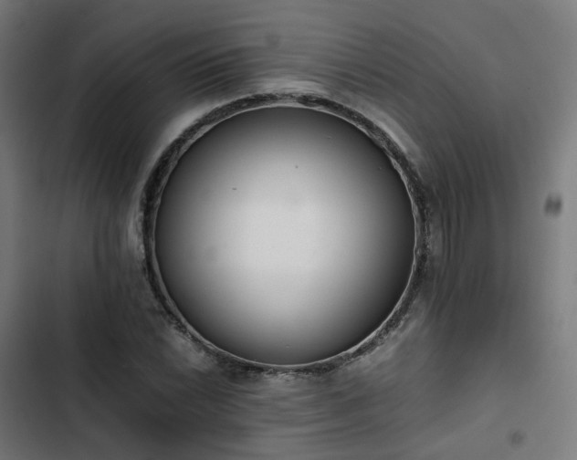X0000103271022200809051502