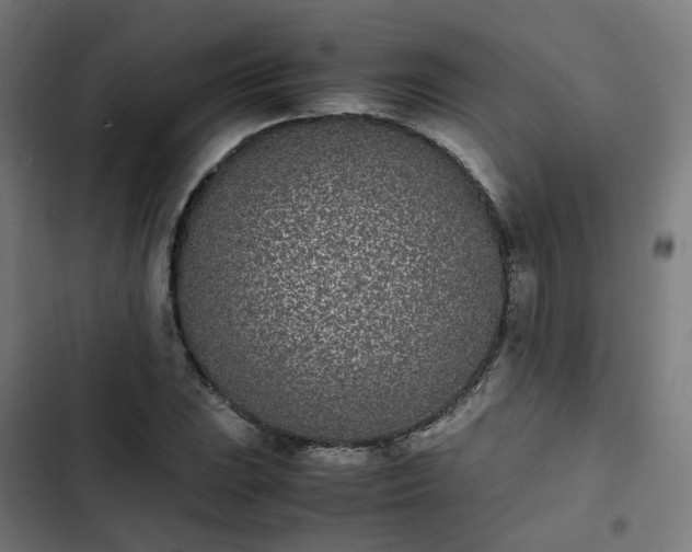 X0000103271023200809051502