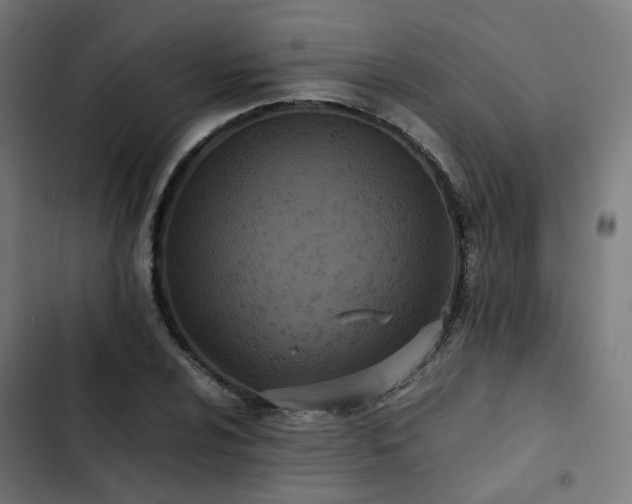 X0000103271024200809051502