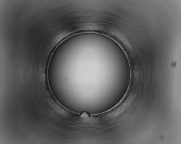 X0000103271025200809051502