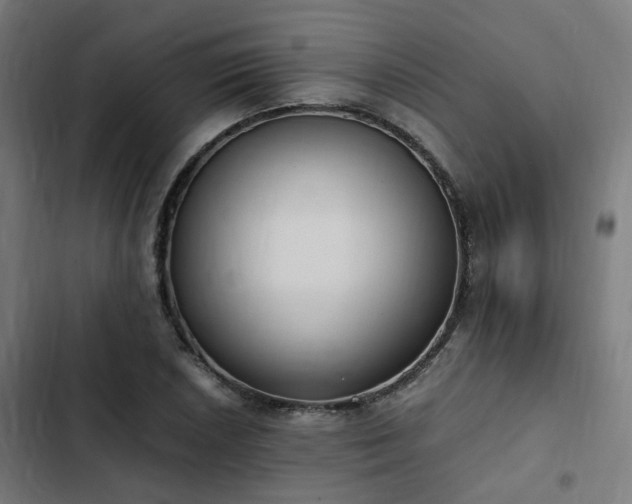X0000103271026200809051502