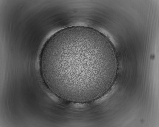 X0000103271027200809051502