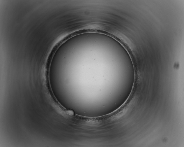 X0000103271029200809051502