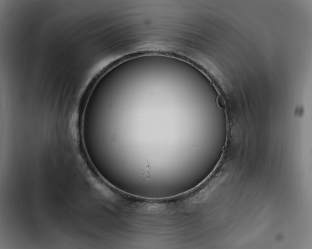 X0000103271030200809051502