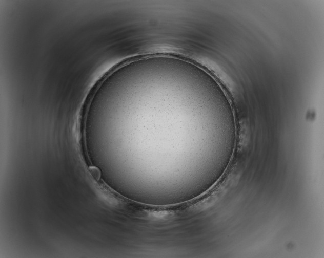 X0000103271031200809051502
