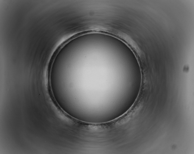 X0000103271032200809051502