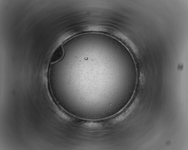 X0000103271033200809051502