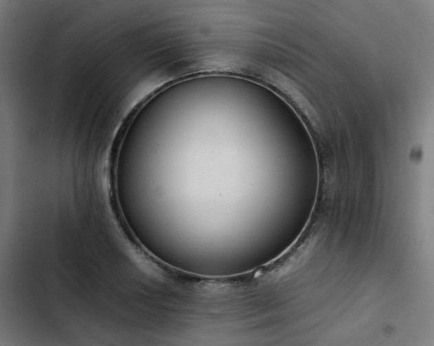 X0000103271034200809051502