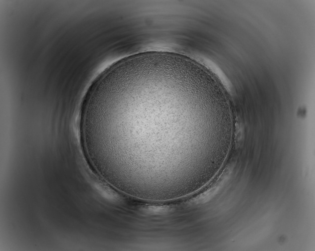 X0000103271035200809051502