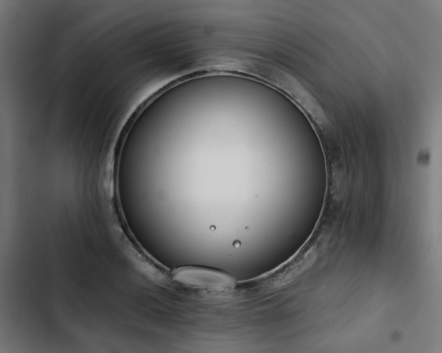X0000103271036200809051502
