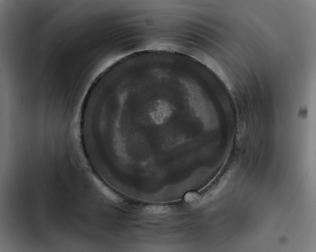 X0000103271037200809051502