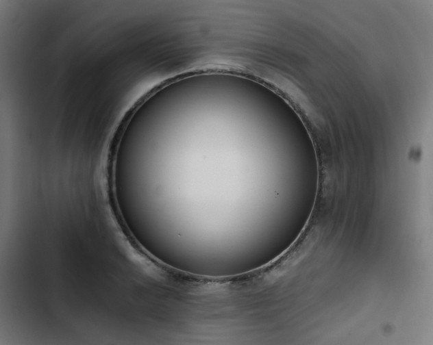 X0000103271038200809051502