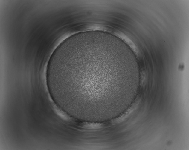 X0000103271039200809051502