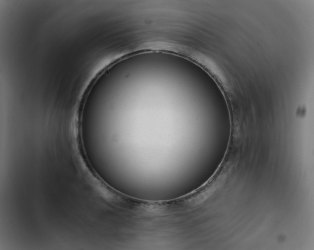 X0000103271040200809051502