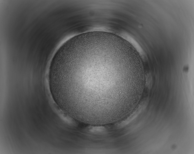 X0000103271043200809051502