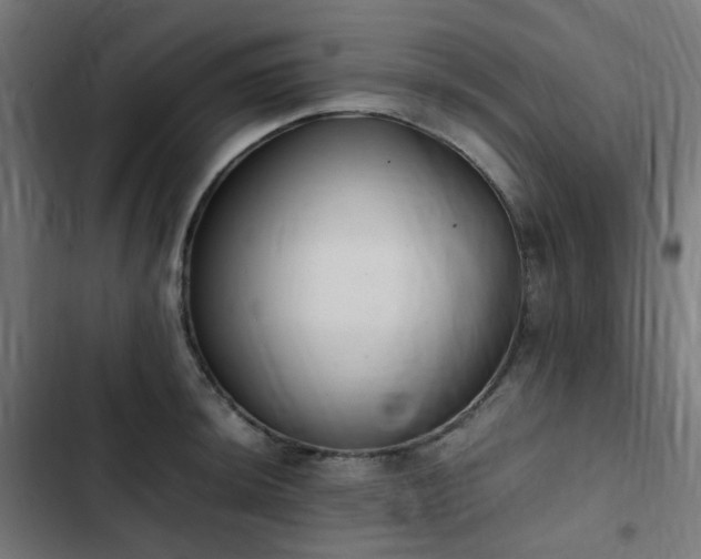 X0000103271044200809051502