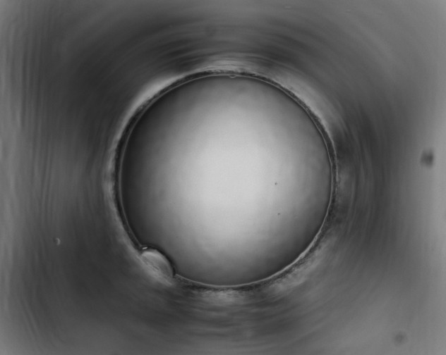 X0000103271045200809051502