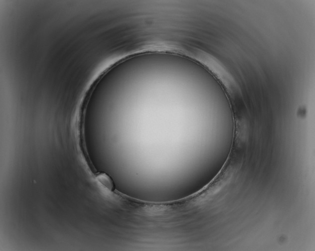 X0000103271046200809051502