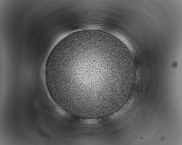X0000103271047200809051502