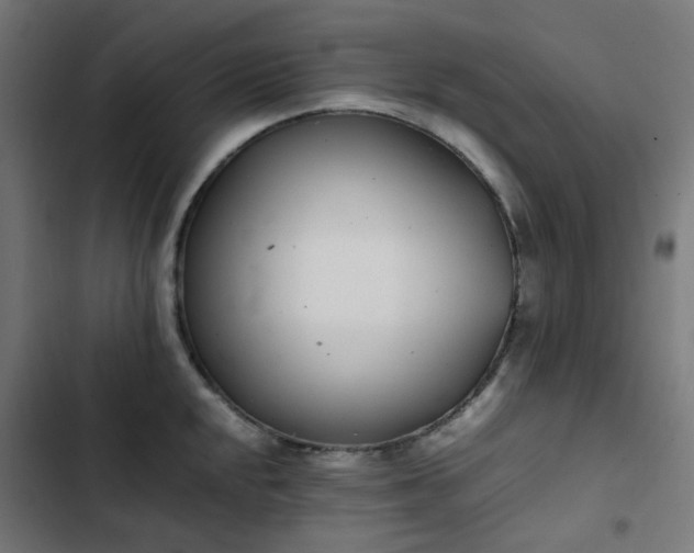 X0000103271048200809051502