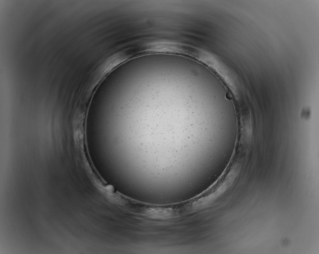 X0000103271049200809051502