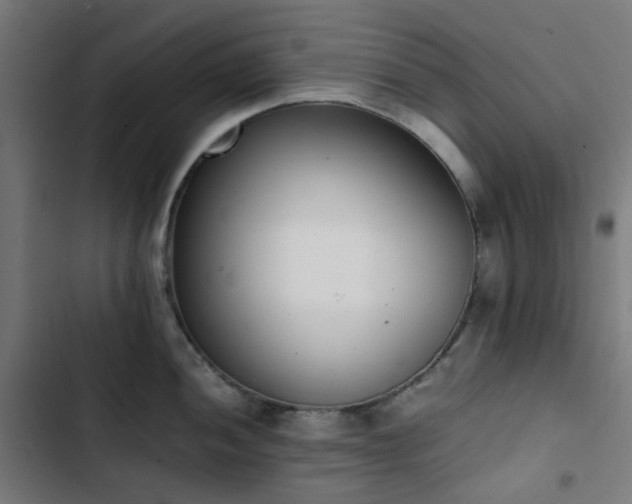 X0000103271052200809051502