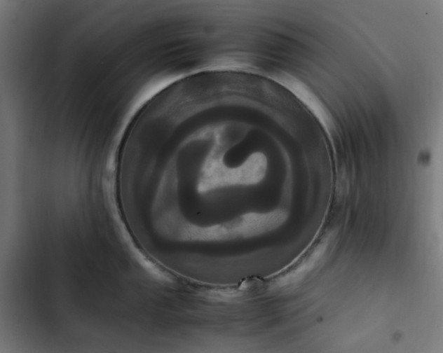 X0000103271053200809051502