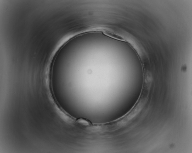 X0000103271054200809051502