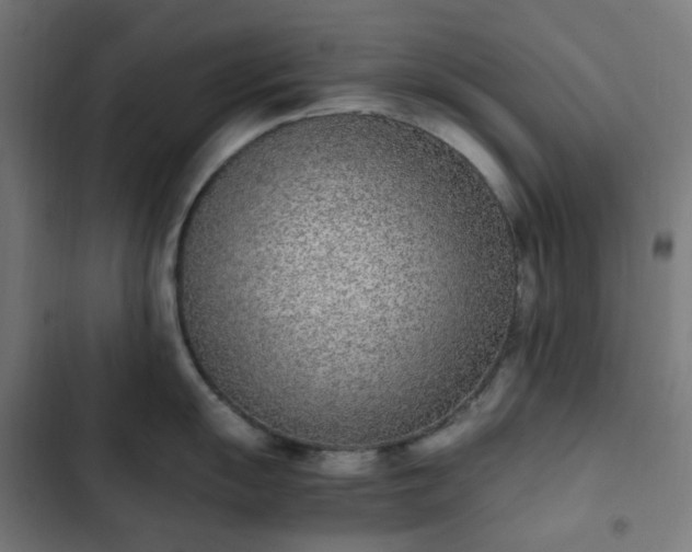 X0000103271055200809051502