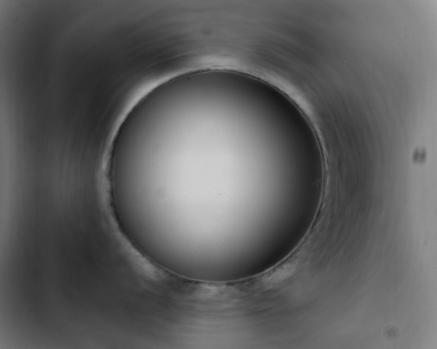 X0000103271056200809051502