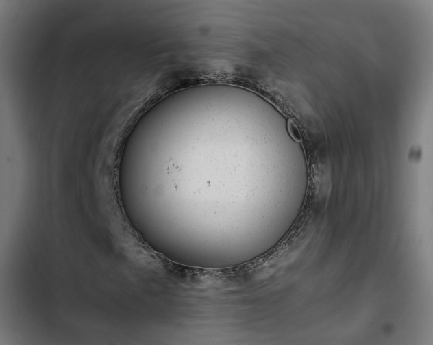 X0000103271057200809051502