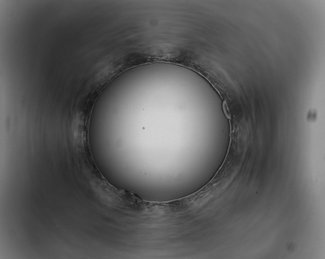 X0000103271058200809051502